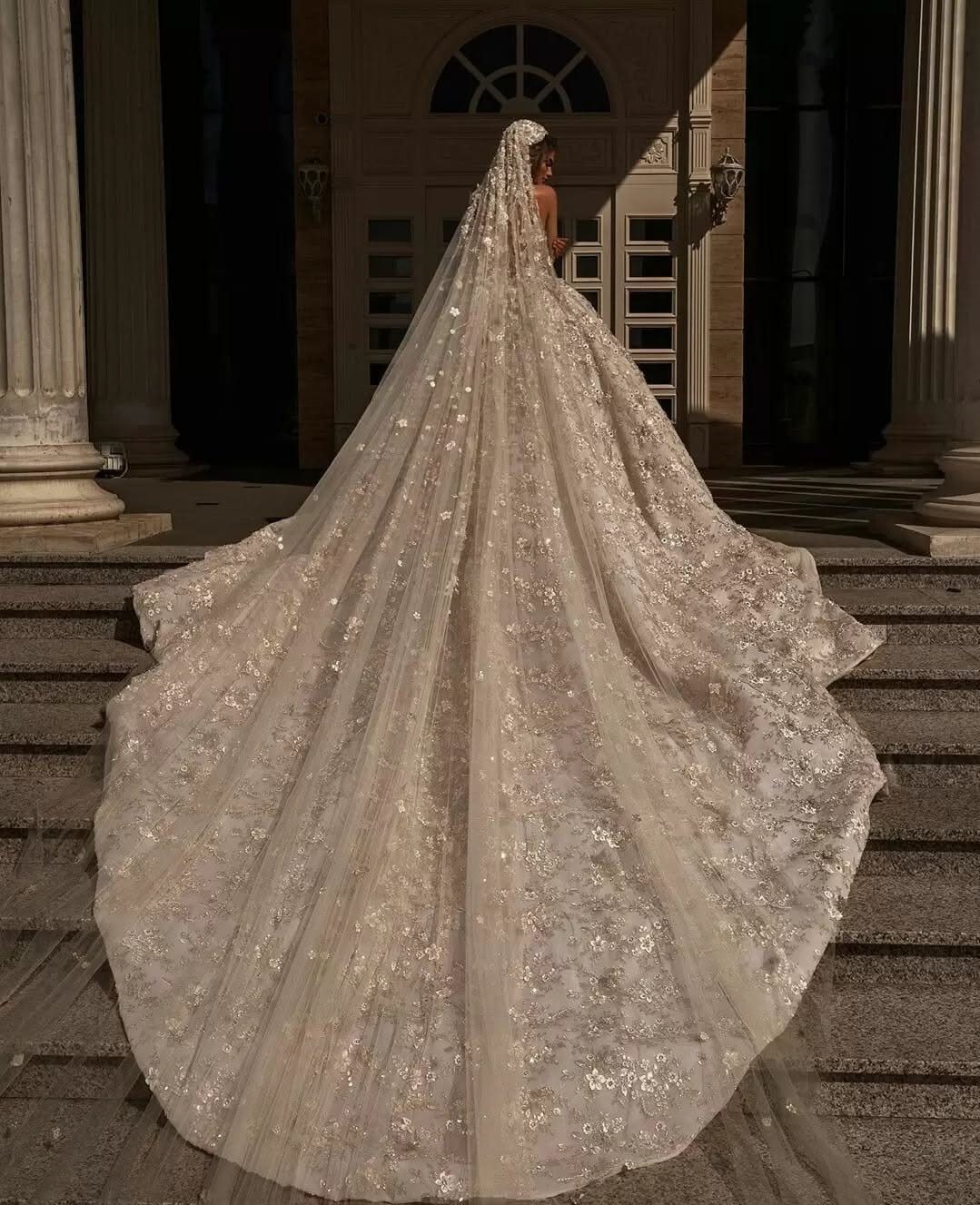 Big Princess Dress Ideas: 7 Tulle, Lace and Satin Gowns 4 Champagne lace and tulle gown with a long train and sheer veil