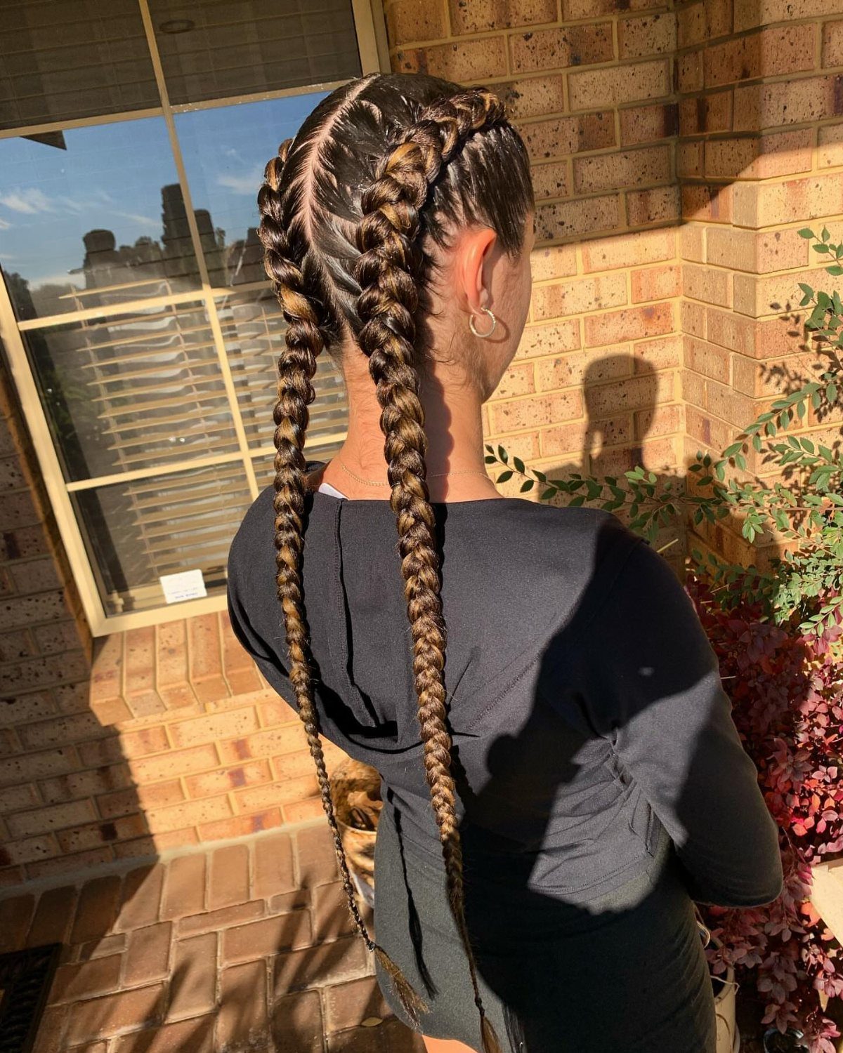 20 Braids and Women Hairstyles to Try in 2026 6 Woman with two long Dutch braids extending from her crown down her back.