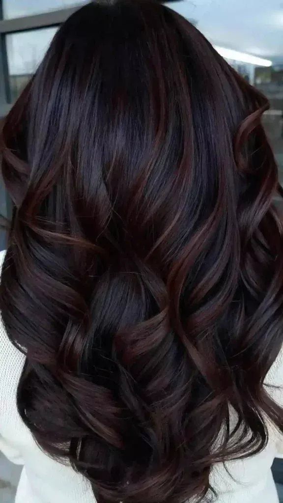 Chocolate Plum Hair: 6 Ideas for Deep Purple-Brown Color 1 Long wavy hair with a dark brown base and deep plum highlights.
