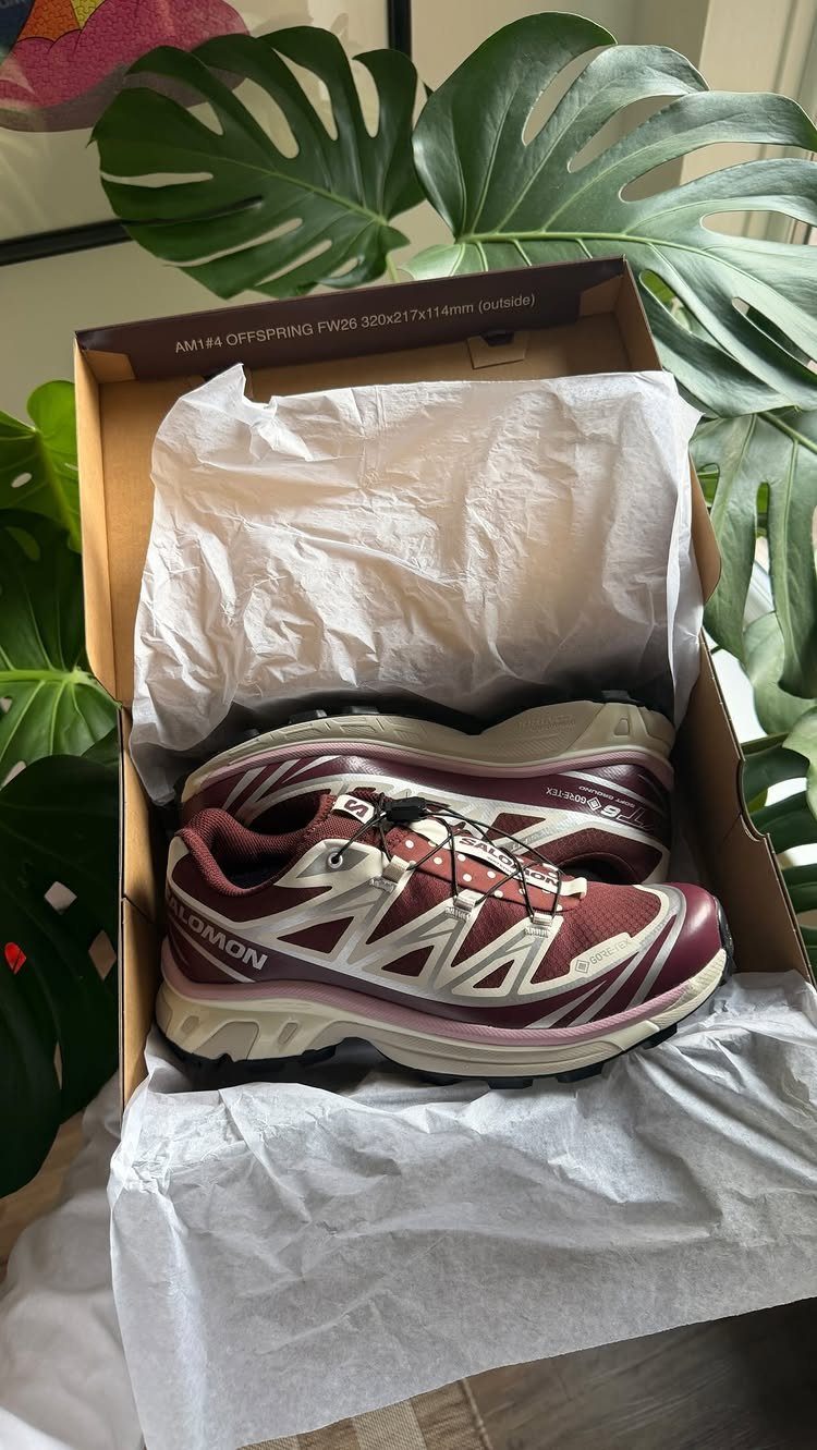 Maroon and white Salomon XT-6 sneakers inside a cardboard shoebox with green leaves.